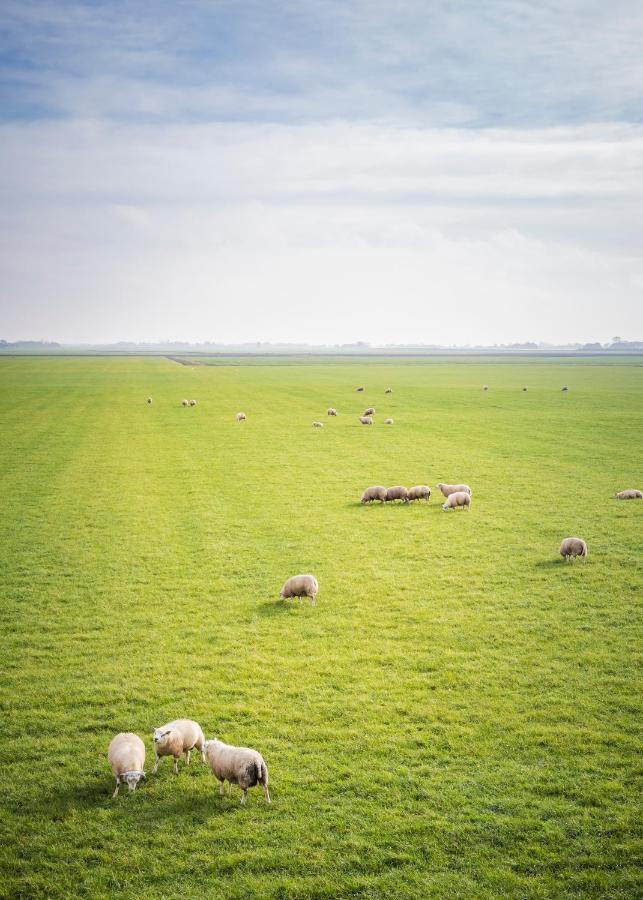 Ollediek Houwerzijl Exterior photo